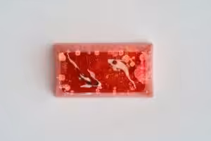 C4 Jelly Key Zend Pond Artisan Keycaps202