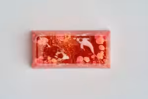 C5 Jelly Key Zend Pond Artisan Keycaps213