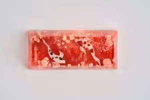 C6 Jelly Key Zend Pond Keycaps891