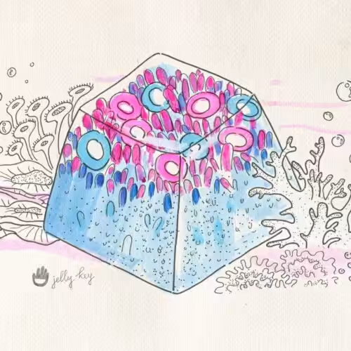 Please adopt this Coral Reef – Giveaway