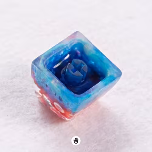 Please adopt this Coral Reef – Giveaway