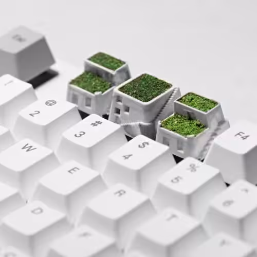 Next flagship sale and price explanantion