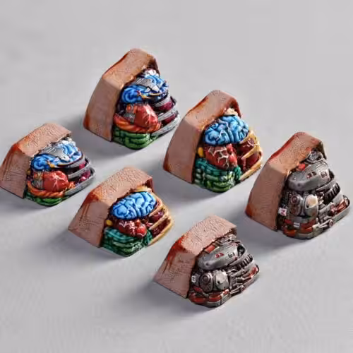 anatomy custom keycaps 008