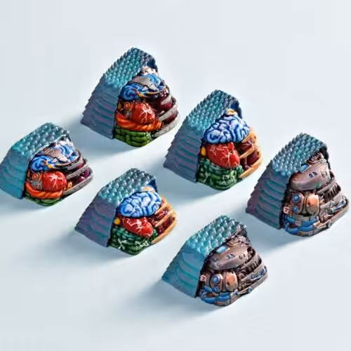 anatomy custom keycaps 012