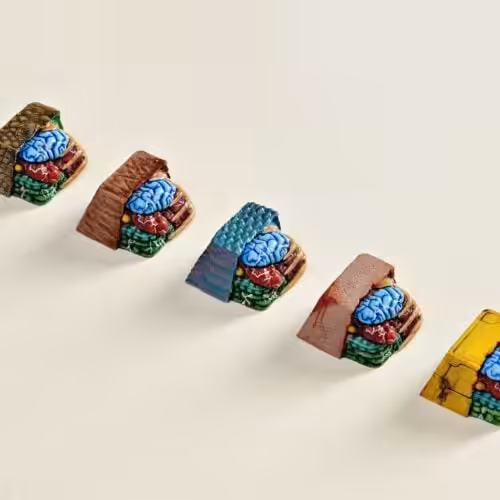 anatomy custom keycaps 017