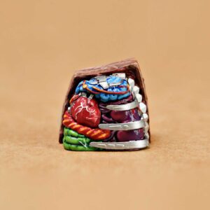 anatomy custom keycaps 062