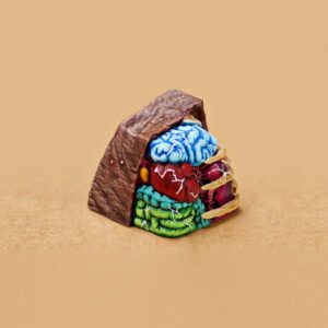 anatomy custom keycaps 064