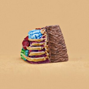 anatomy custom keycaps 066