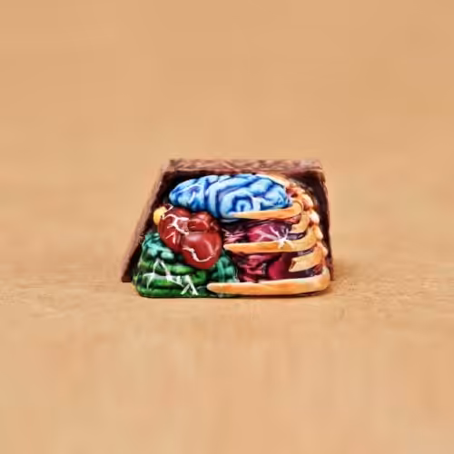 anatomy custom keycaps 074
