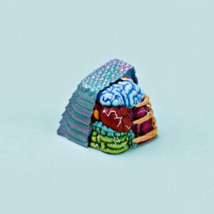 anatomy custom keycaps 085