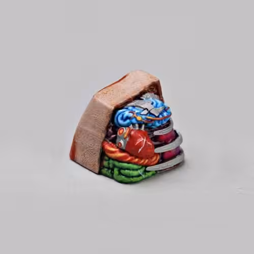 anatomy custom keycaps 103
