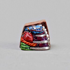 anatomy custom keycaps 104
