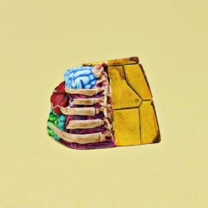 anatomy custom keycaps 129