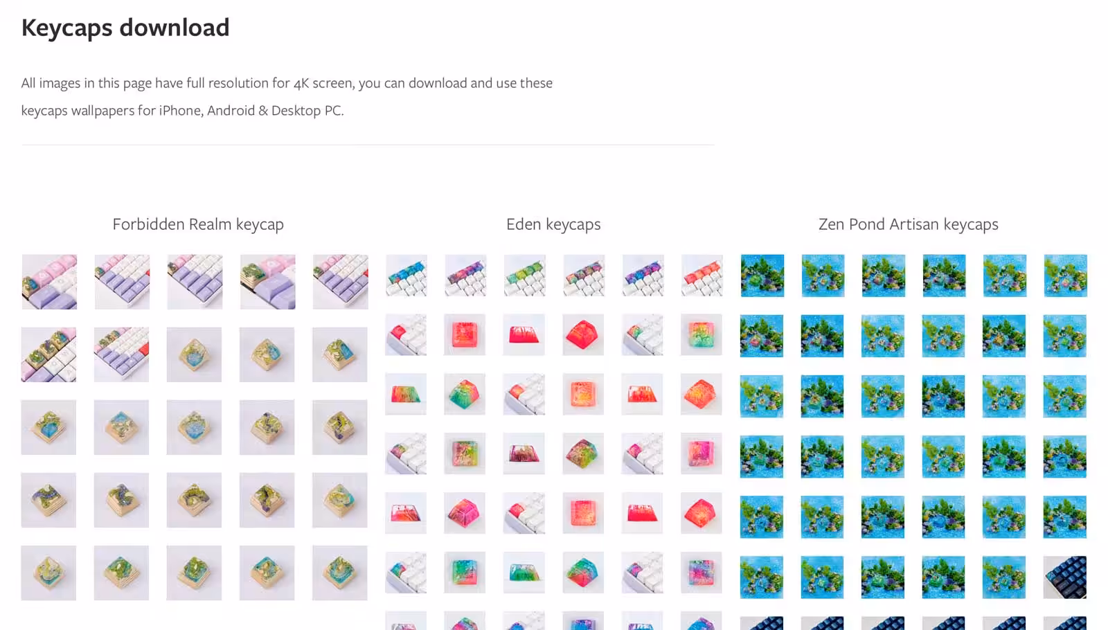 Jelly Key new website system ‘soft’ direction