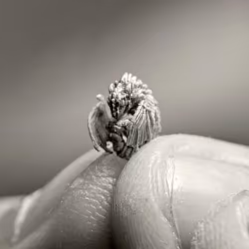Dragon Eden 2
