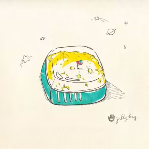 Fly me to the moon