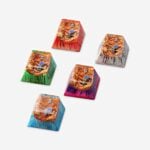 All design (5 colors)